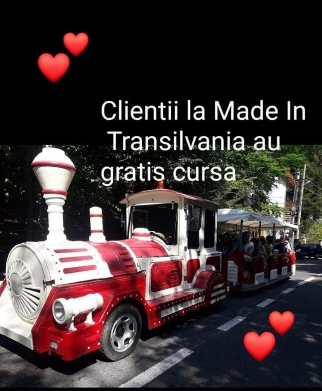 Made In Transilvania Sighişoara Eksteriør bilde